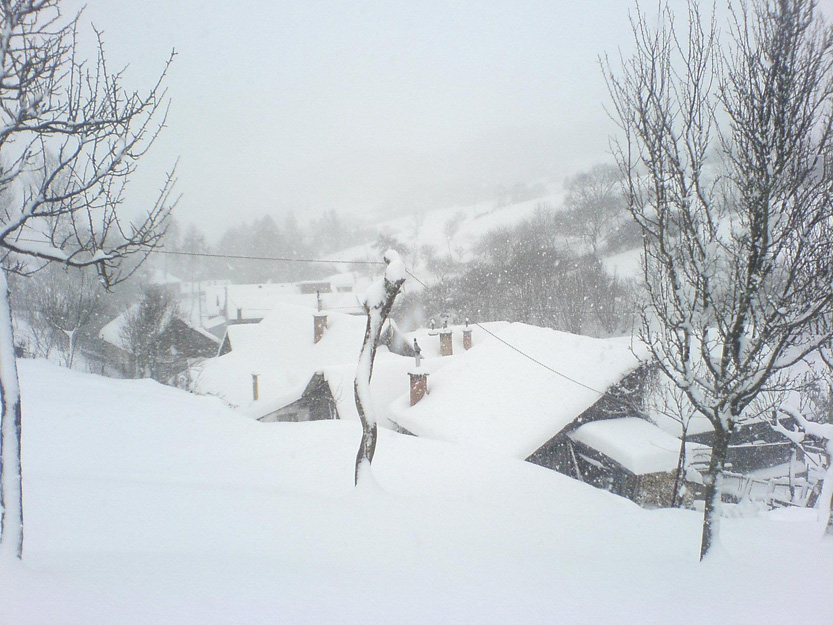 Winter2012ÄŽuro SarvaÅ¡ (1)